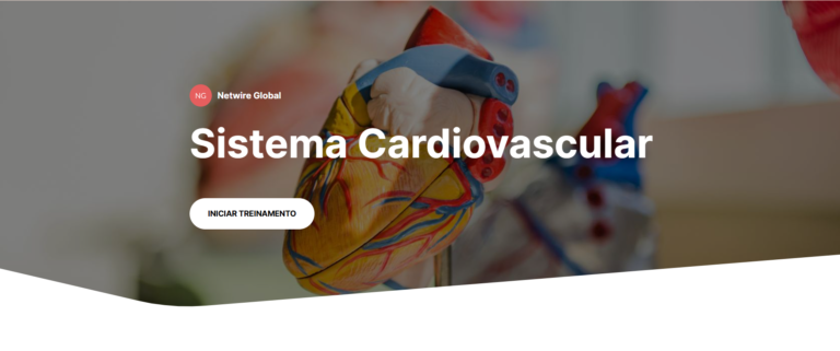 Netwire Global - Treinamento online